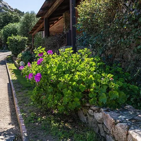 Le Terrazze * Porto Rotondo